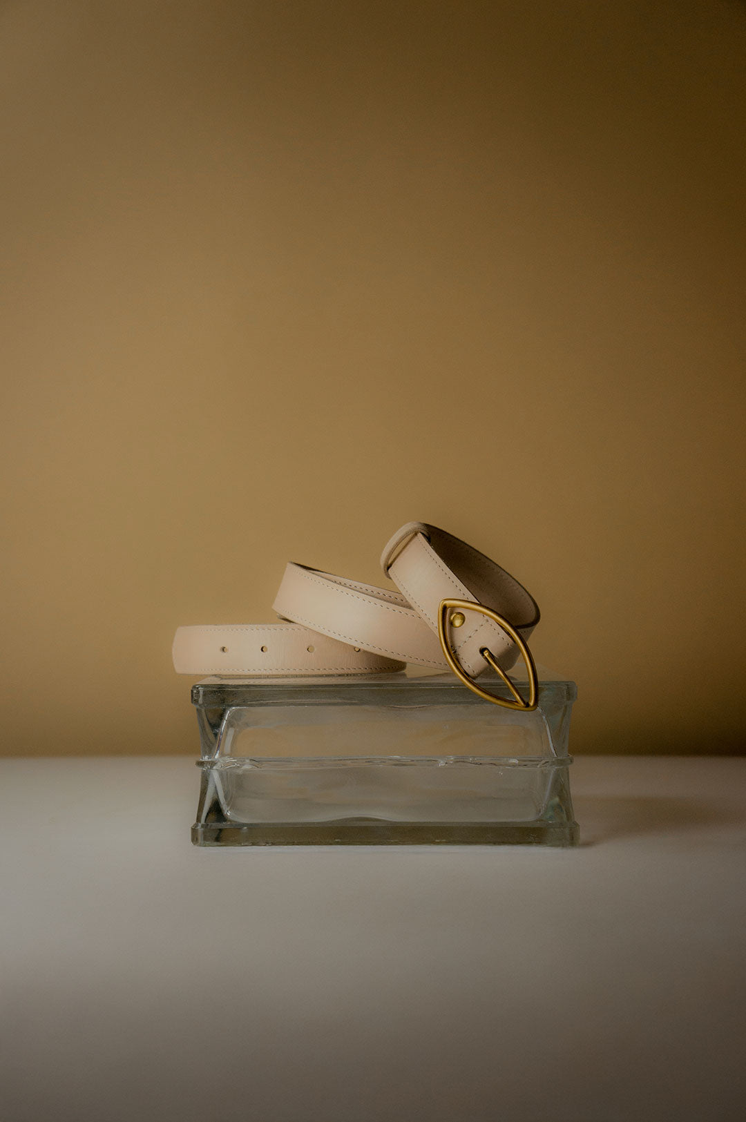 Gaze Belt | Shell