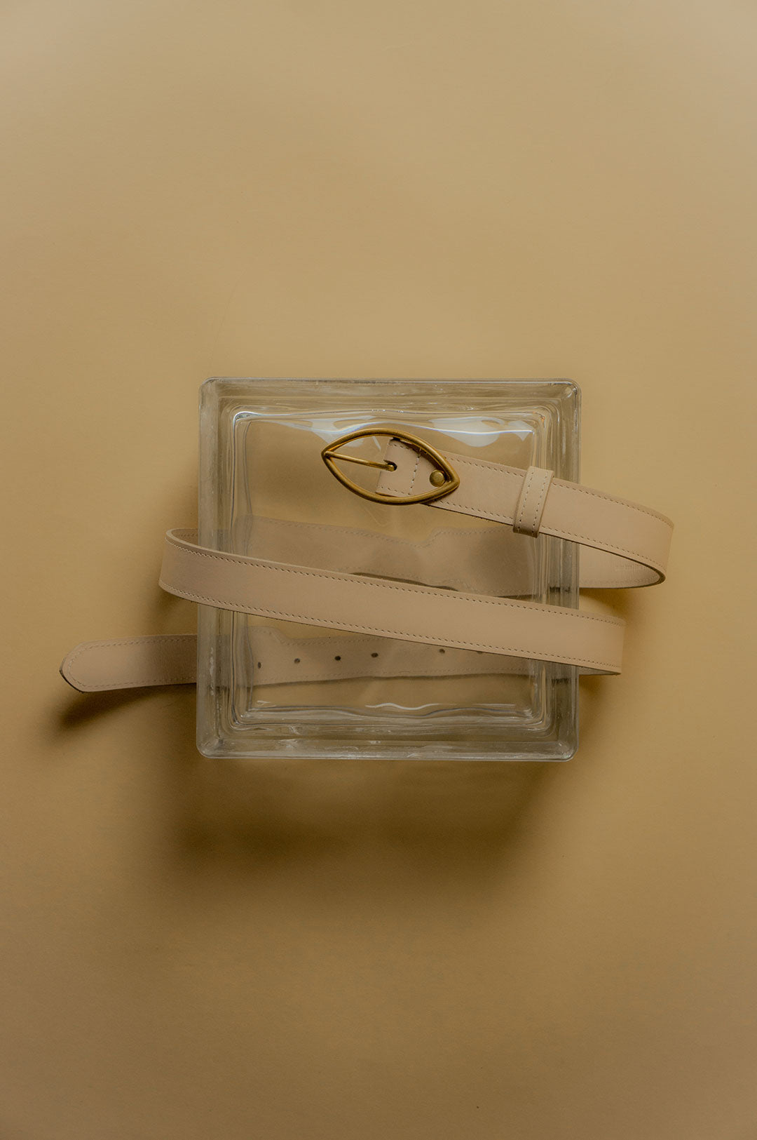 Gaze Belt | Shell
