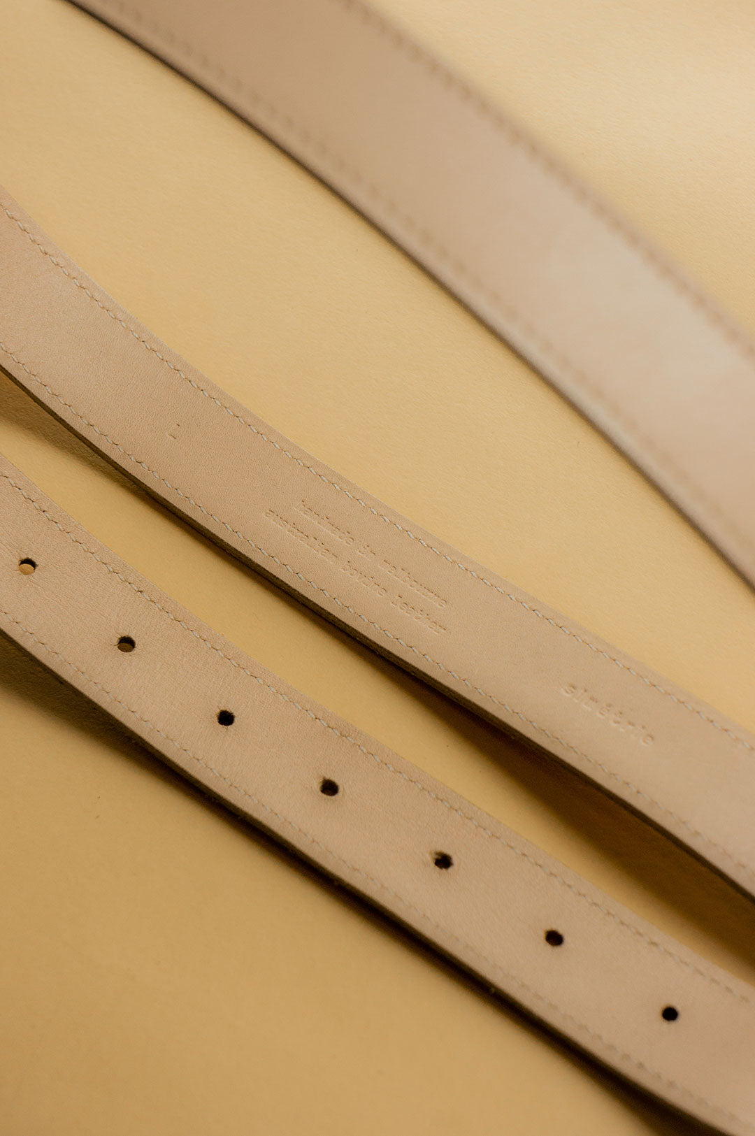 Gaze Belt | Shell