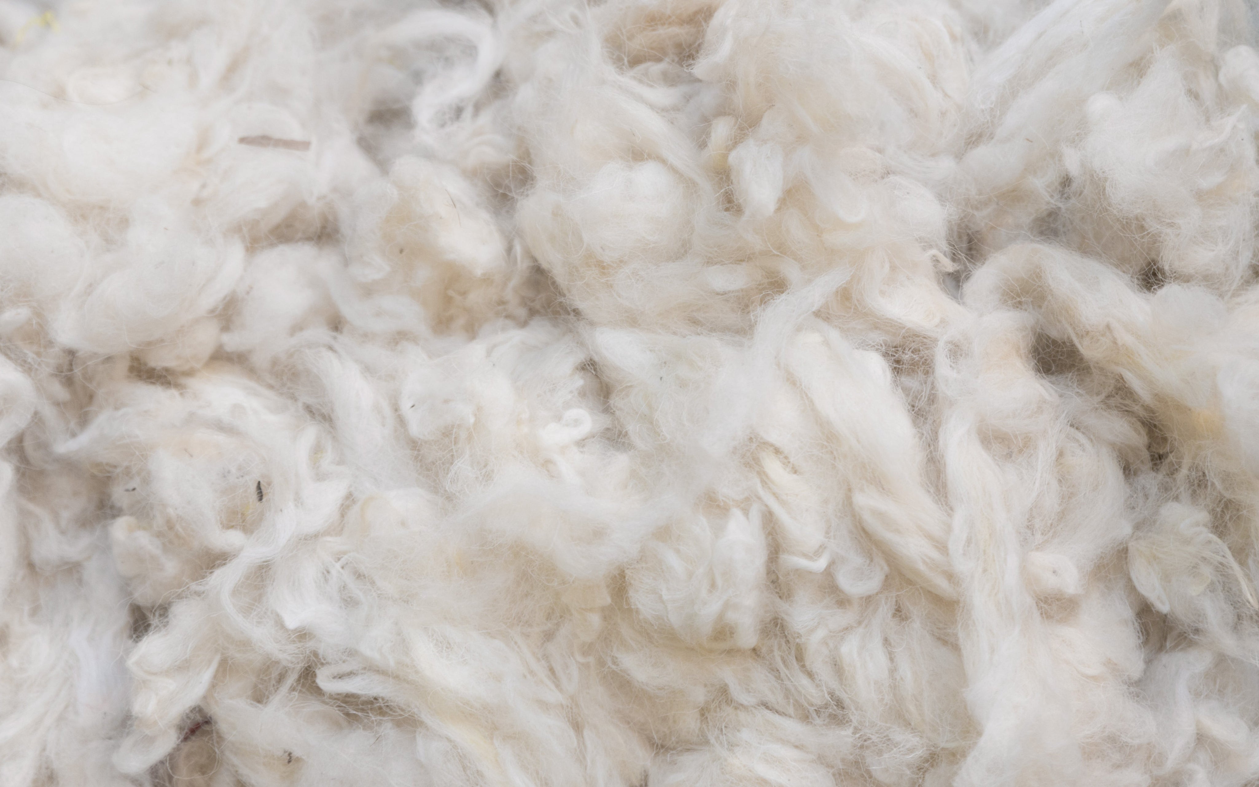 Close-up of wool fibers