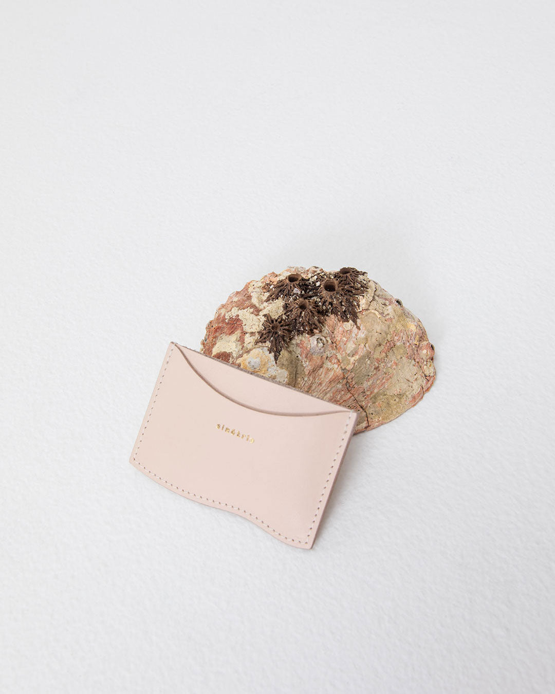 Card Wallet | Shell