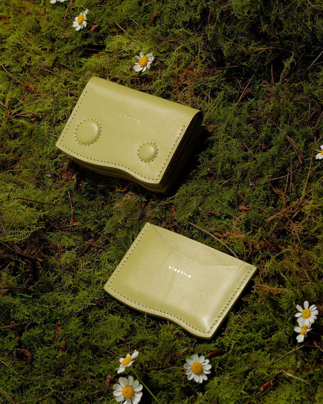 Kartenetui | Matcha